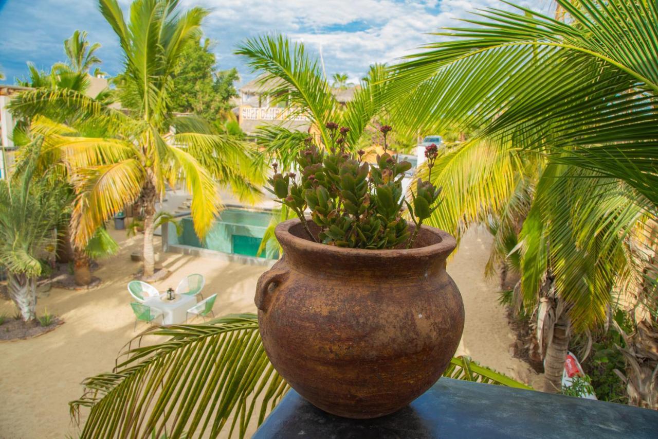 Pure Baja Private Suites-Upscale Property With Infinity Pool And Lush Gardens El Pescadero  Luaran gambar